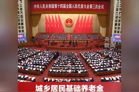 城乡居民基础养老金最低标准再提高元，