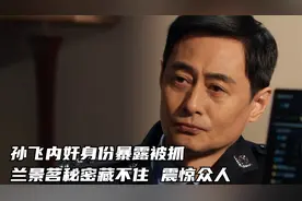 以法之名：孙飞内奸身份暴露被抓，兰景茗秘密藏不住，震惊众人