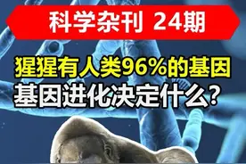 黑猩猩与人类%基因相似，却没有成为人类，基因究竟决定什么？