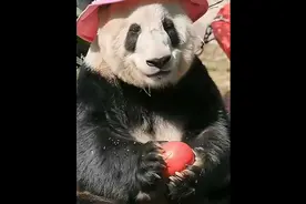 丫丫公主新潮粉帽，萌翻众人！