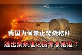 我国为什么要禁止焚烧秸秆，第一个提出禁烧建议的专家是谁？视频封面