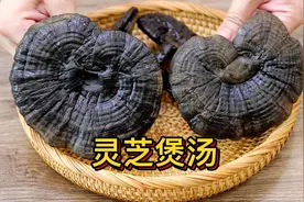灵芝煲汤，千万别直接煲，诀窍告诉你，汤汁鲜甜好喝，无苦味