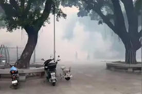说出来你们可能不信，这是近期的佛山！每天都是消杀＃基孔肯雅热