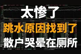 A股：太惨了！跳水原因找到了，散户哭晕在厕所，明天开盘，