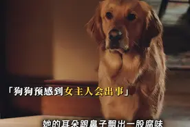 “你一直都是我的好朋友，最好的朋友”