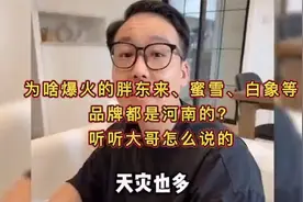 为啥爆火的胖东来、蜜雪、白象等品牌都是河南的听听大哥怎么说