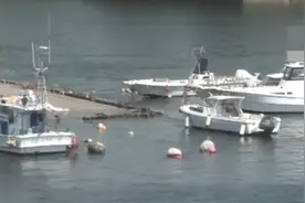 1.5米高海啸袭击日本港口现场：海水巨幅涨落 海面与港口齐平