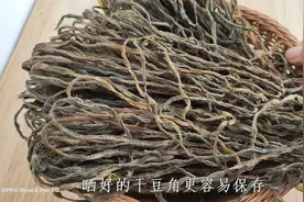 这才是晒干豆角的正确做法，方法简单，学会这一招，放一年不怕坏