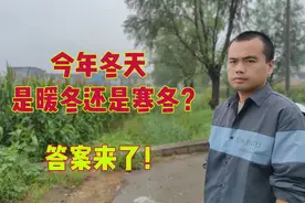 今年冬天是暖冬还是寒冬？答案来了