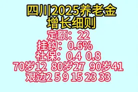 四川公布2025年退休人员基本养老金调整细则视频封面