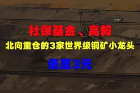 社保基金、高毅，北向重仓的3家世界级铜矿小龙头，低至3元，名单