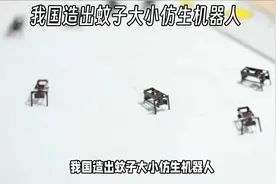 我国造出蚊子大小仿生机器人