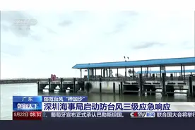 防范台风“桦加沙” 广东 深圳865个应急避难场所做好开放准备