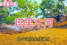 神秘断流30年后，奇迹复生的塔里木河！视频封面