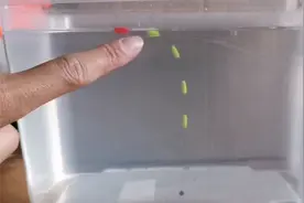 七星漂调漂全攻略，新手必看！