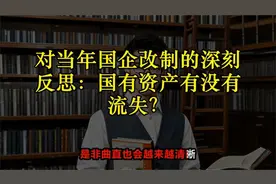 对当年国企改制的深刻反思：国有资产有没有流失？视频封面