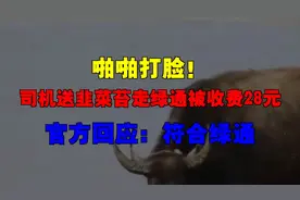 啪啪打脸！司机送韭菜苔走绿通被收费28元，官方回应：符合绿通。