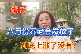 农民八月份养老金发放了！到底涨了没有？视频封面
