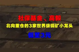 社保基金、高毅，北向重仓的3家世界级铜矿小龙头，低至3元