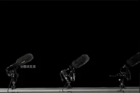 猫头鹰为什么可以无声飞行？老鼠：它越强我越慌！