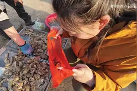 逛完接地气的海鲜集市，拖着房车前往威海看看布鲁威斯号