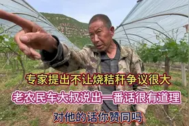 专家提出不让烧秸秆争议很大  老农民车大叔说出的一番话很有道理视频封面
