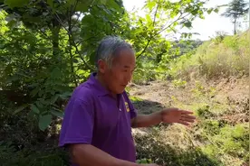 山西临猗一山沟里发现清代名官王含光夫妻合葬墓，而打开后为啥却视频封面