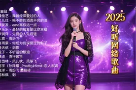 2025热门歌曲  伤感情歌《我曾经深爱过的人》《流行歌手》
