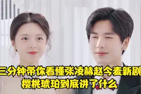 三分钟带你看懂张凌赫赵今麦新剧樱桃琥珀到底讲了什么