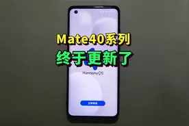 Mate40系列终于迎来升级，4.2.0.180新版本分批推送中！视频封面