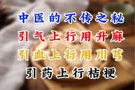中医的不传之秘！引气上行用升麻，引血上行用川芎，引药上行桔梗