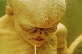 《异形》系列大结局，也许人类是比异形还要恐怖的一种生物#异形