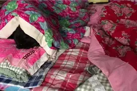 东北大雪封门，夫妻屋里猫冬，用炉子炖大骨头吃，再来瓶白酒，美