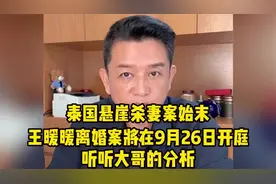 开庭了,王暖暖离婚案现场直击，杀夫索赔3000万？听大哥拆解始末