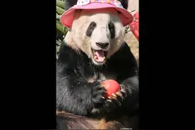 嘿嘿，今天给我丫丫公主带个小粉帽子