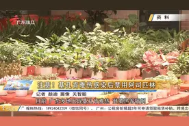 注意！基孔肯雅热感染后禁用阿司匹林