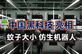 中国黑科技！蚊子大小仿生机器人问世！