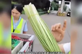 绿通女收费员说蒜苔是花要收费 男子急喊：你不是农民