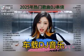 2025年抖音热门歌曲DJ串烧