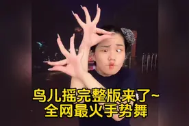 鸟儿摇完整版手势舞来了
