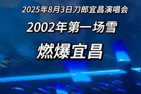 2025年8月3日刀郎宜昌演唱会，《2002年第一场雪》再次燃爆宜昌视频封面