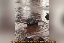 苏超南京客场4比0狂虐常州，小恐龙当场被气晕，气哭常州的小朋友