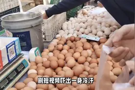 “激素鸡蛋”危害大！养殖户：看到这种鸡蛋最好别买，别大意