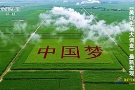 美好生活大调查：大数据绘出中国人的幸福画像视频封面