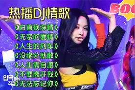 经典13首动感DJ情歌《一晃就老了》