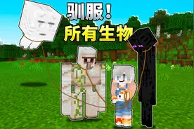 MC生物驯服指南：当整个世界都成为你的宠物
