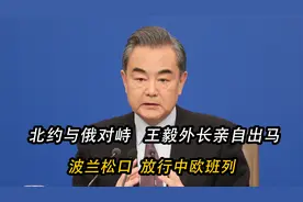 北约与俄对峙，王毅外长亲自出马：波兰终于松口，放行中欧班列