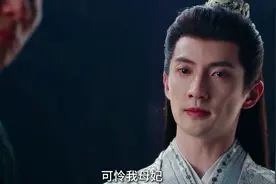 《朝雪录》大结局，假皇帝死于燕泽之手，赵淑华和贵妃同归于尽#