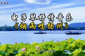 电子琴抒情音乐《烟雨唱扬州》，湖畔的宁静时光，感受自然的美好视频封面
