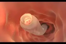 女性刚怀孕是什么样的感觉？动画演示全程，生命太伟大了！